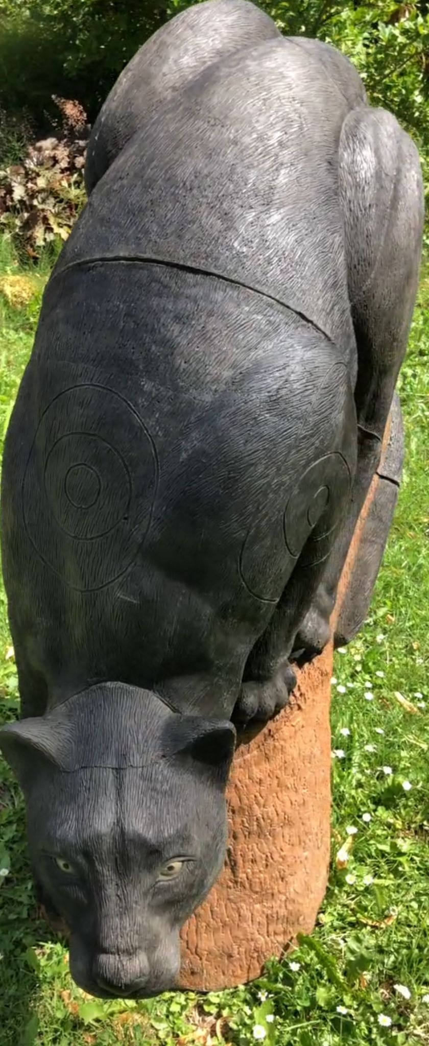 Panther