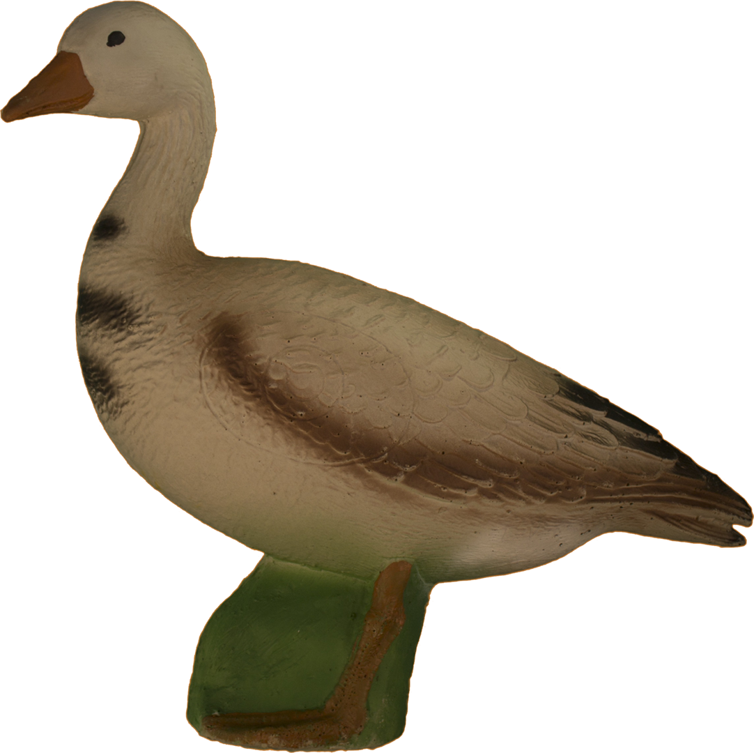 Gans