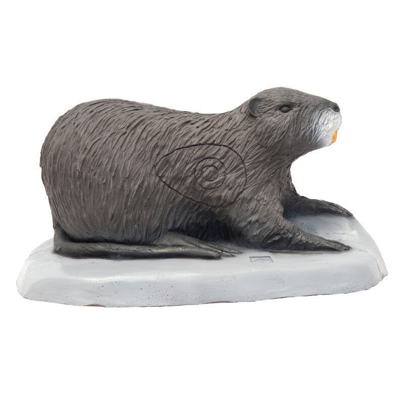 Nutria Biberratte