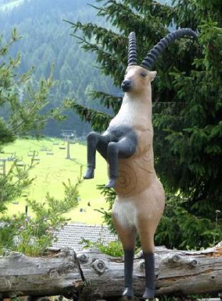 Steinbock, hüpfernd