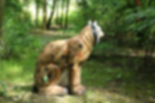 Bogenschießen in Castrop