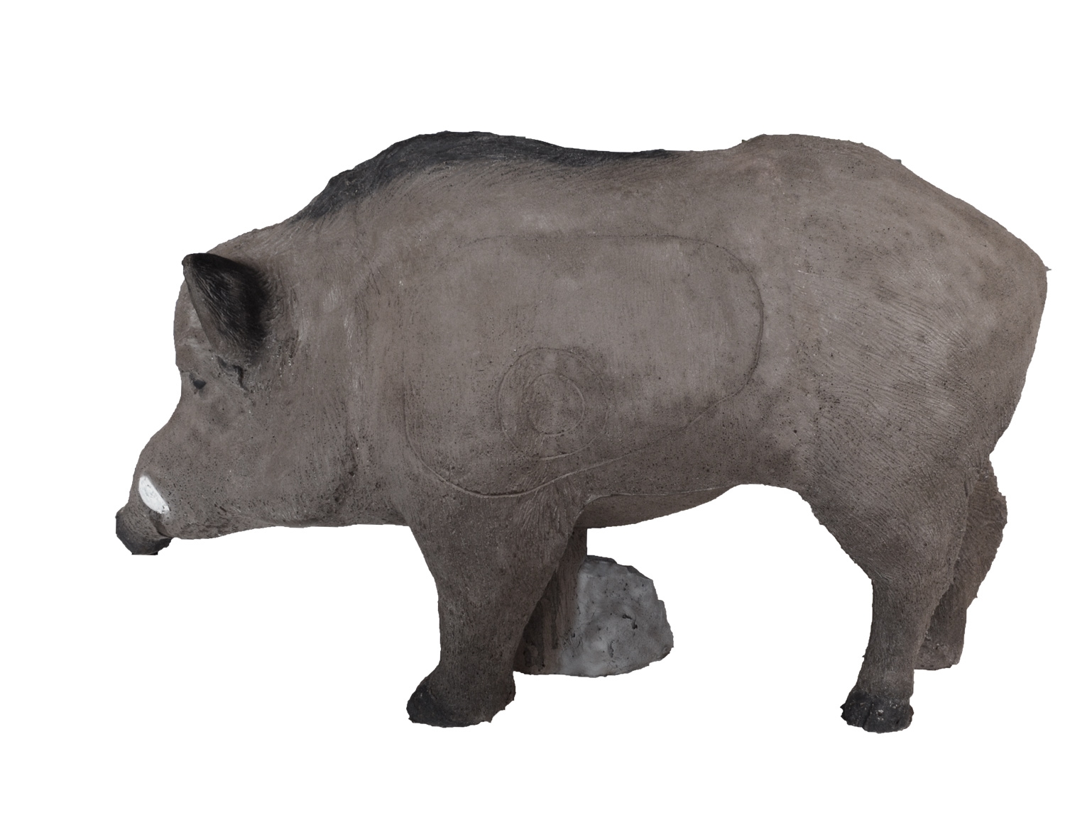 Keiler / Wildschwein