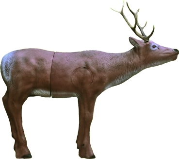 Wapiti / Hirsch