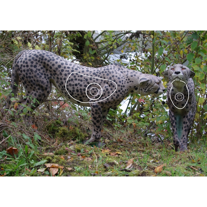 Gepard