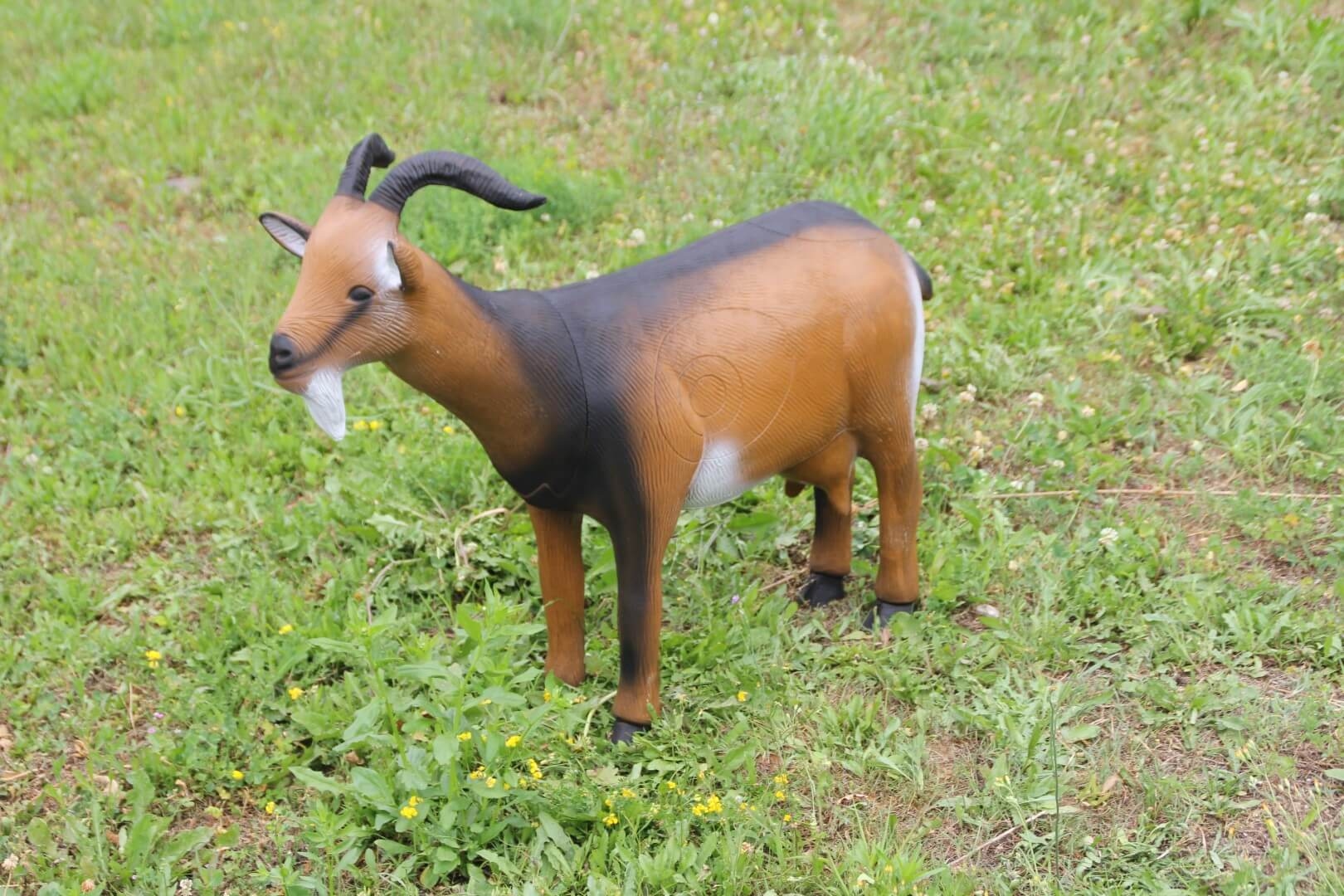 Zwergziege