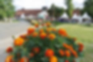Gartentage 2019 - ein kleiner Bummel in der Abendsonne-Blumen
