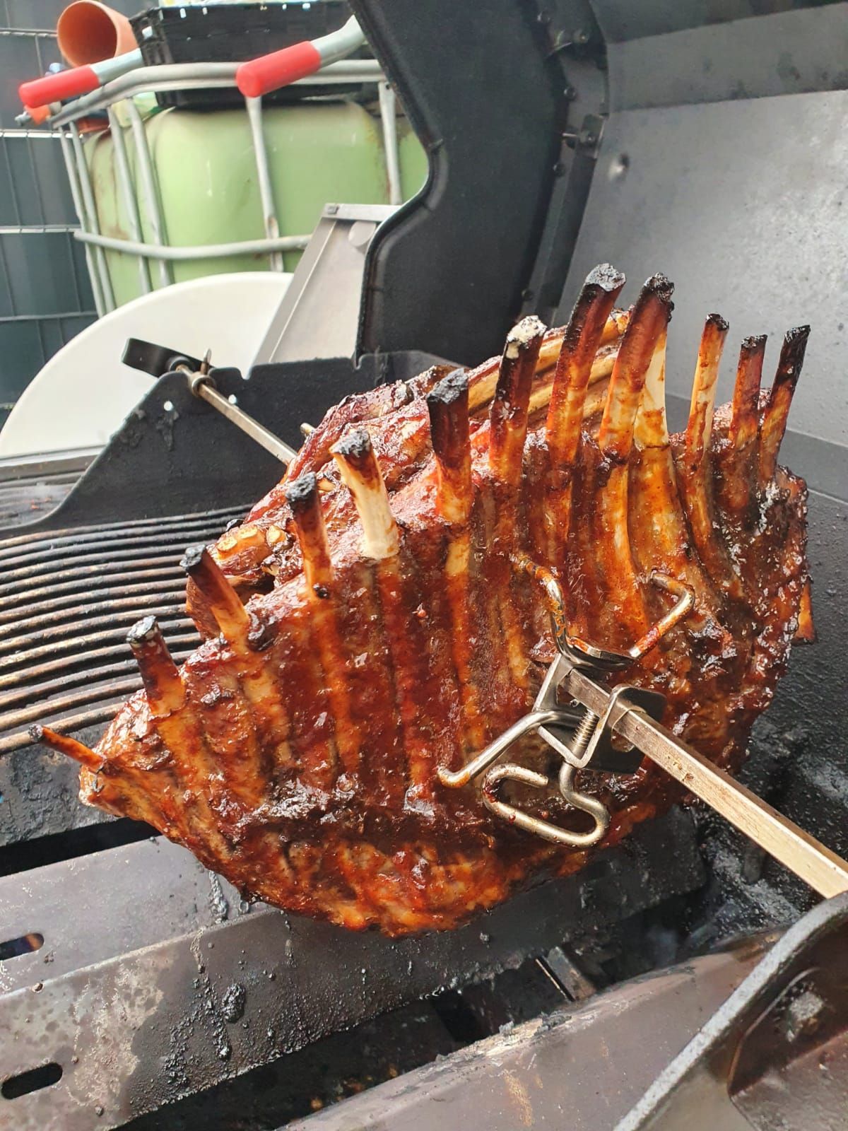 Wildschweinspareribs
