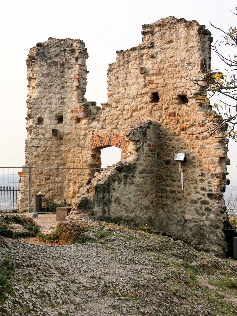 Burgruine Drachenfels, Königswinter