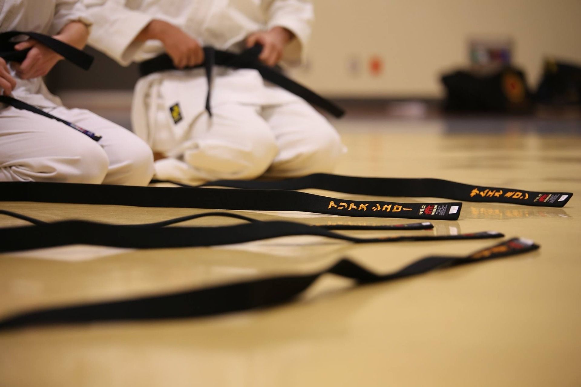 Seminare - Seminare / Termine | karate-coaching