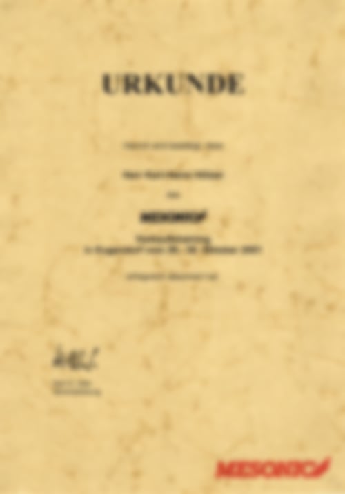 Urkunde des MESONIC Verkaufstraining 2001 von Karl-Heinz Hölzer
