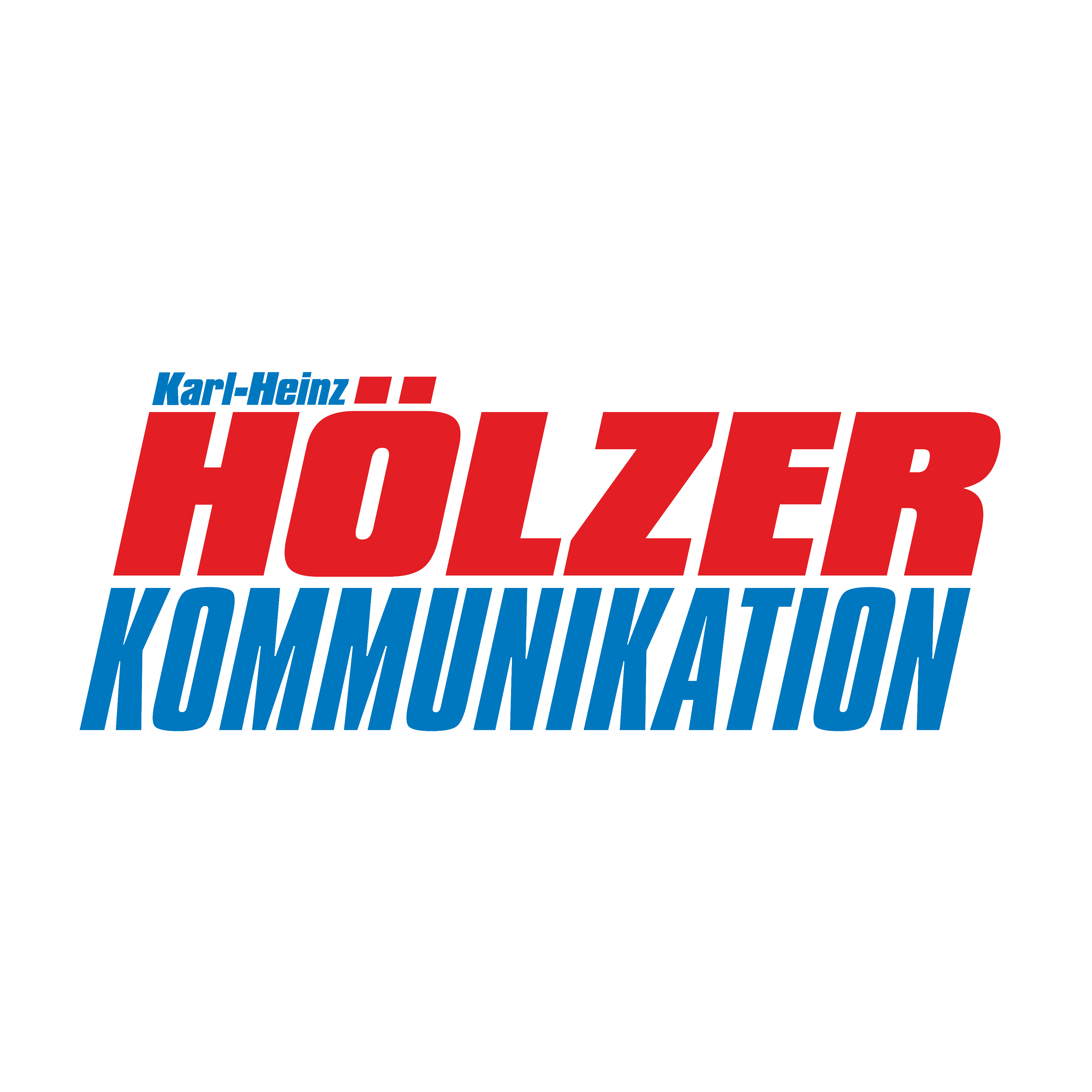 Onlineshop | Hölzer Kommunikation