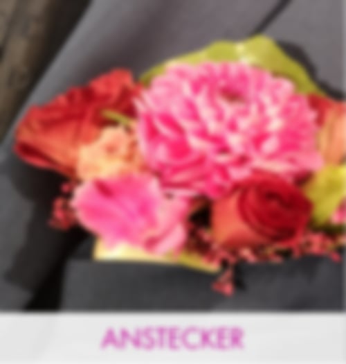 Anstecker