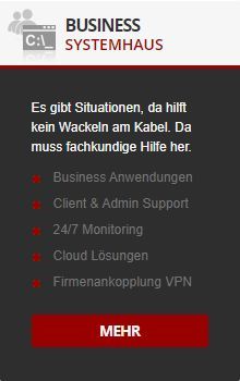 Business systemhaus. Es gibt Situationen, da hilft kein Wackeln am Kabel. Da muss fachkundige Hilfe her.