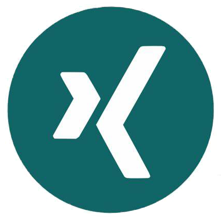 Xing Icon