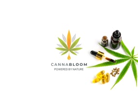 canna-bloom
