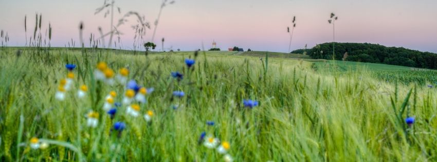 Aktuelle Termine | Landstuhl.plus