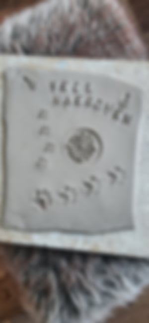 Pfötchenabdrücke