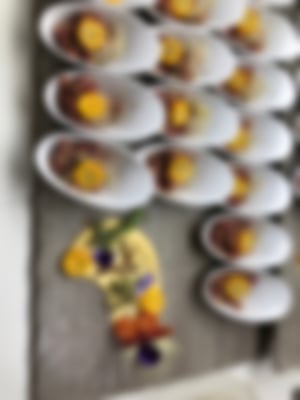 Vorspeise