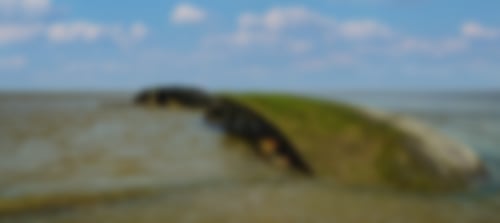 Schiffswrack vor Schillig Moin Mehrblick Meerblick Nordsee Penthouse