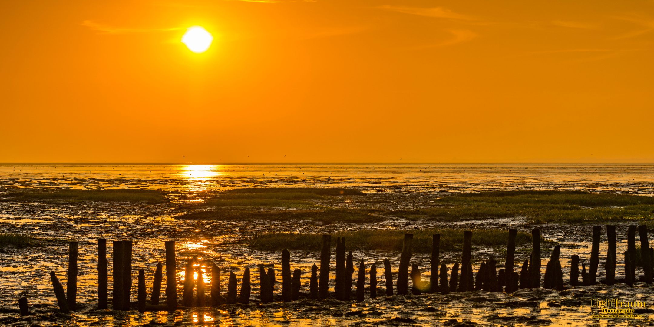 Moin Mehrblick Nordsee Meerblick Schillig Penthouse Ferien Urlaub
