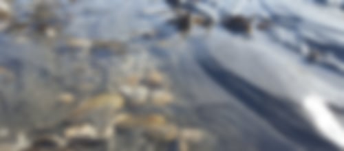 Watt Schillig Moin Mehrblick Meerblick Nordsee Penthouse