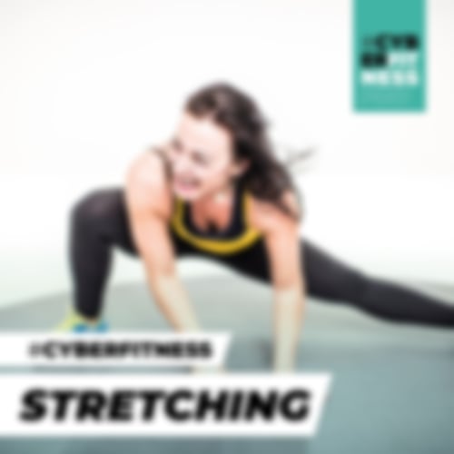 Cyberfitness