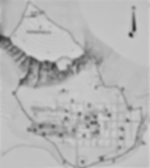 Stadtplan Priene