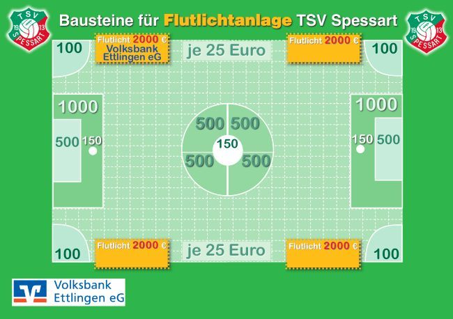 Flutlicht-Spendenaktion | TSV 1913 Spessart e.V.