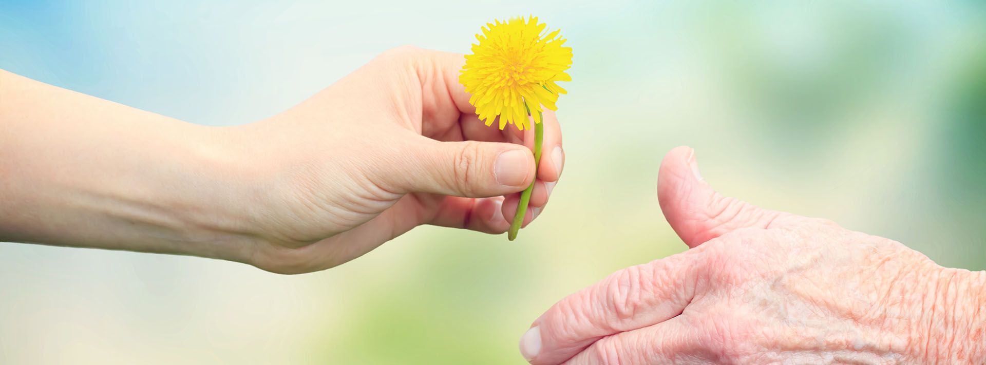 Impressum | Betreuen mit Herz - Meindl-Schmid GbR