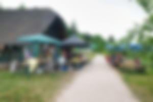 Feste im Obstgut