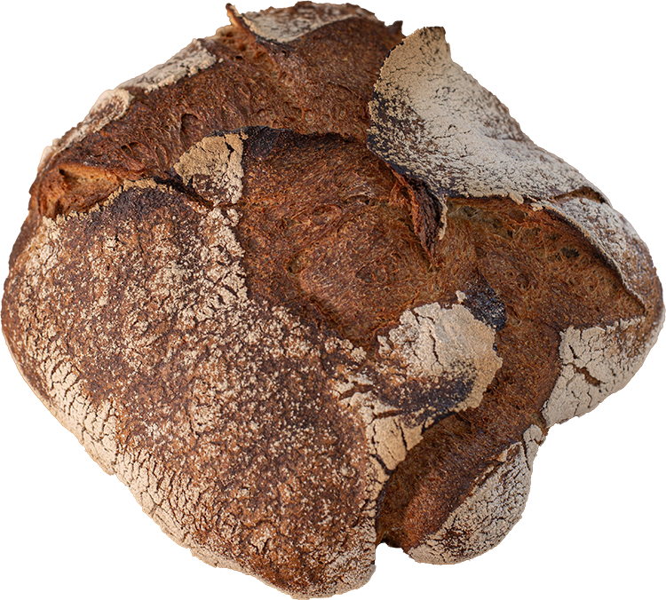 Unser freigestelltes No. 1 Brot mit aufgerissener Kruste und leichter Bemehlung auf schwarzem Hintergrund.