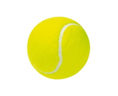 Herren 50 | Tennisclub Reken e.V.