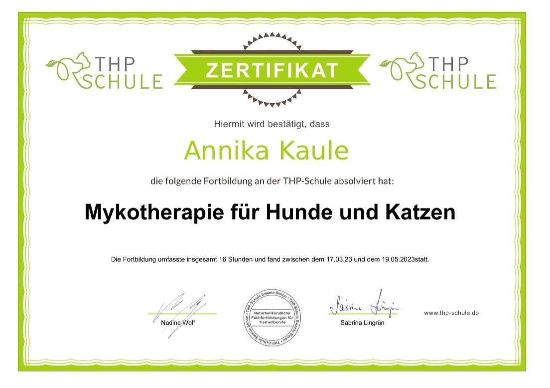 Annika Kaule: Mykotherapie für Hunde und Katzen