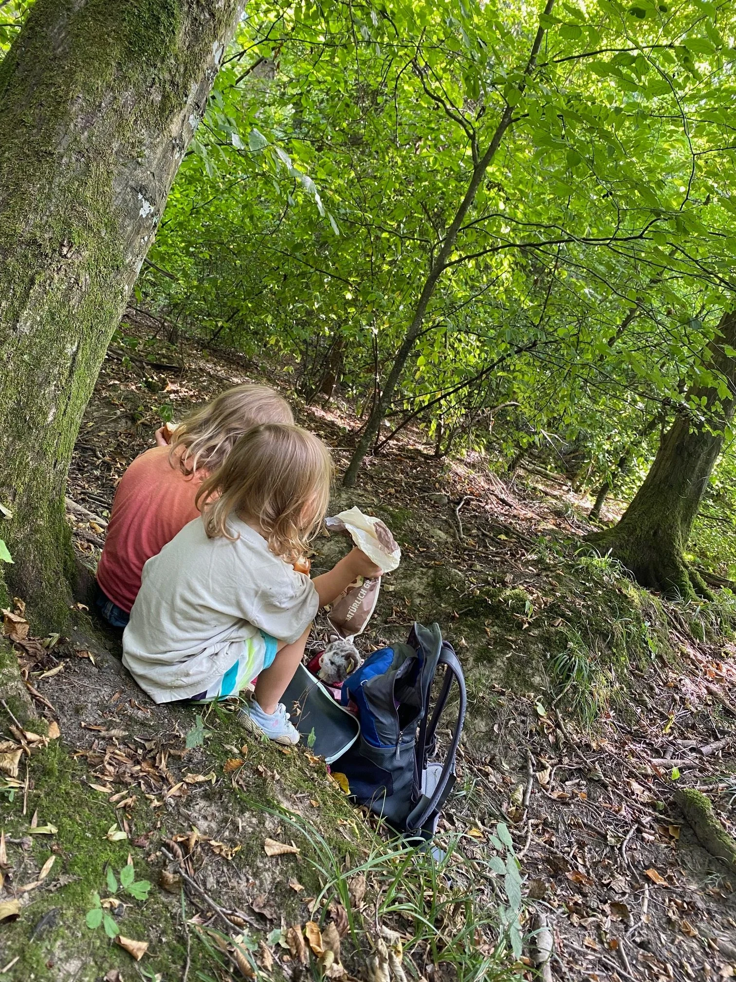 Kinder im Wald