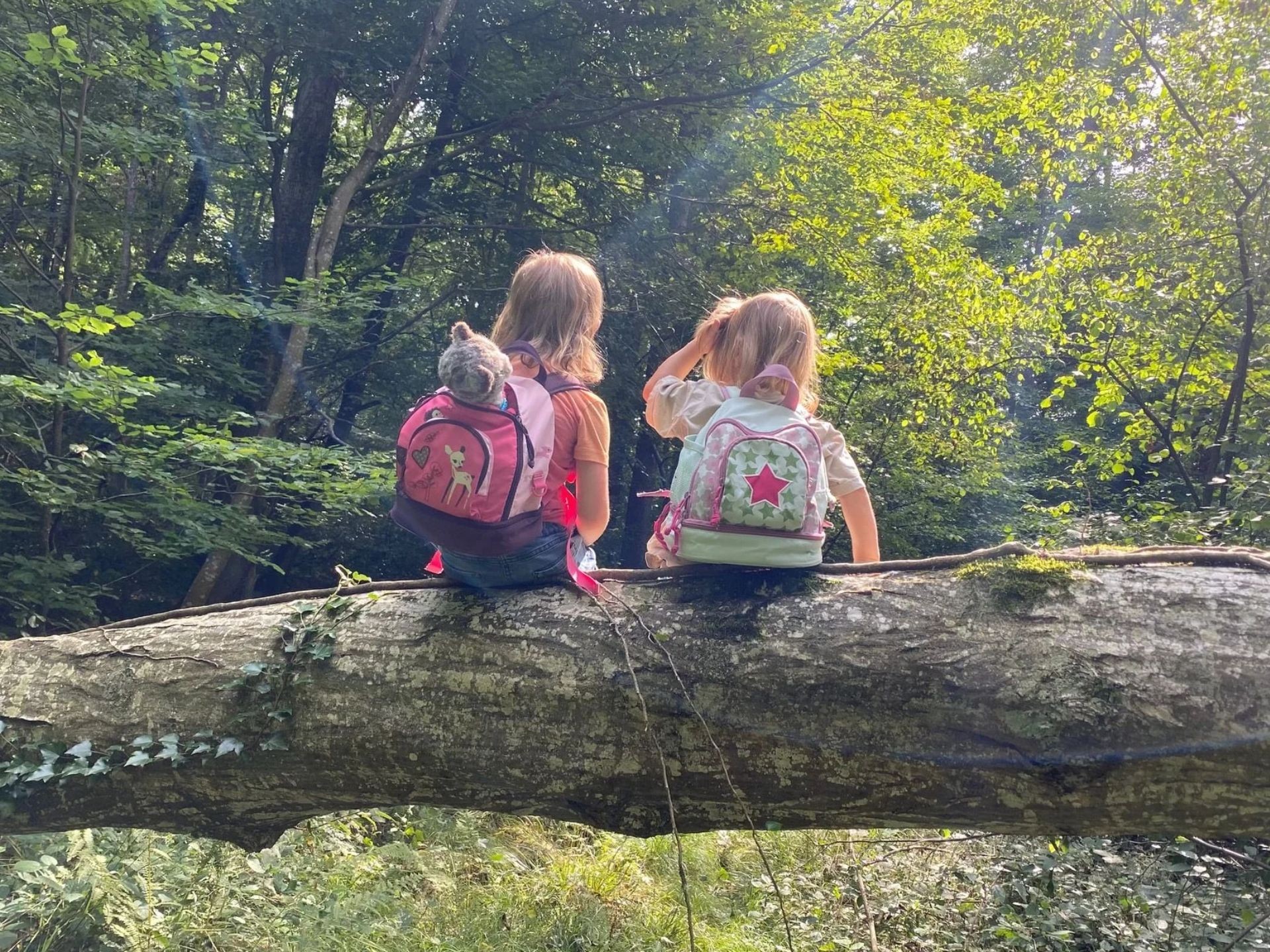 Kinder sitzend auf einem Baumstamm