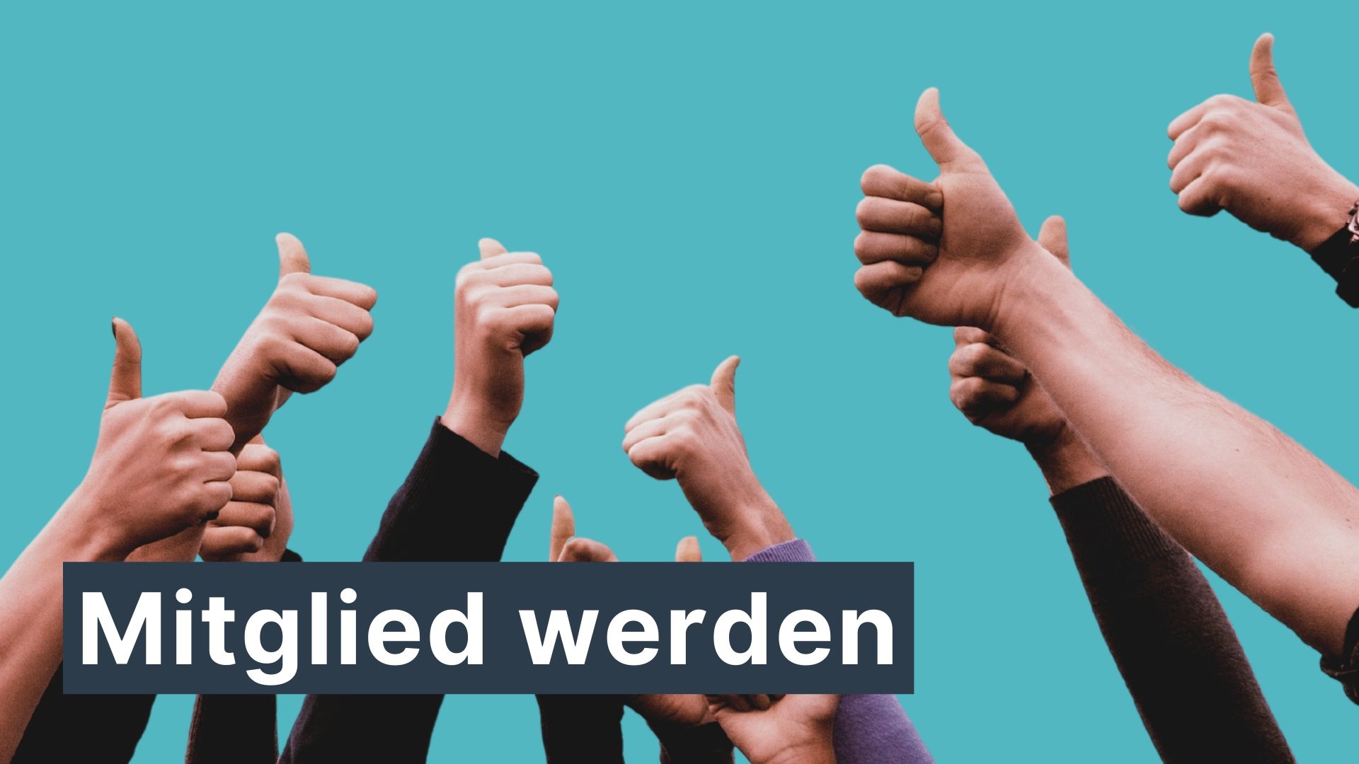 Grüne Stadtlohn