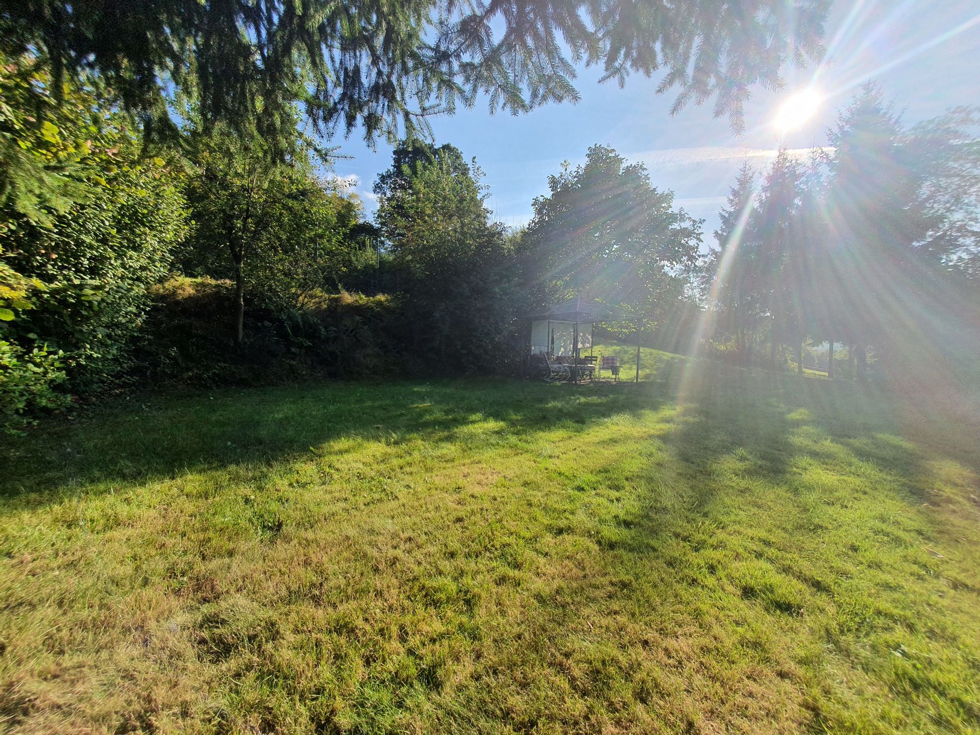 großzügiger Garten