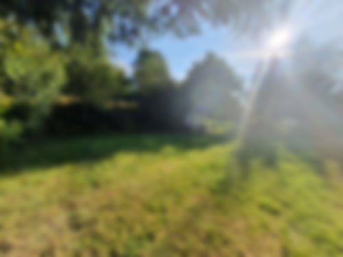 großzügiger Garten