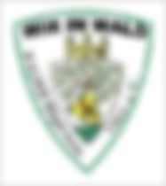 Walder Bürgerverein