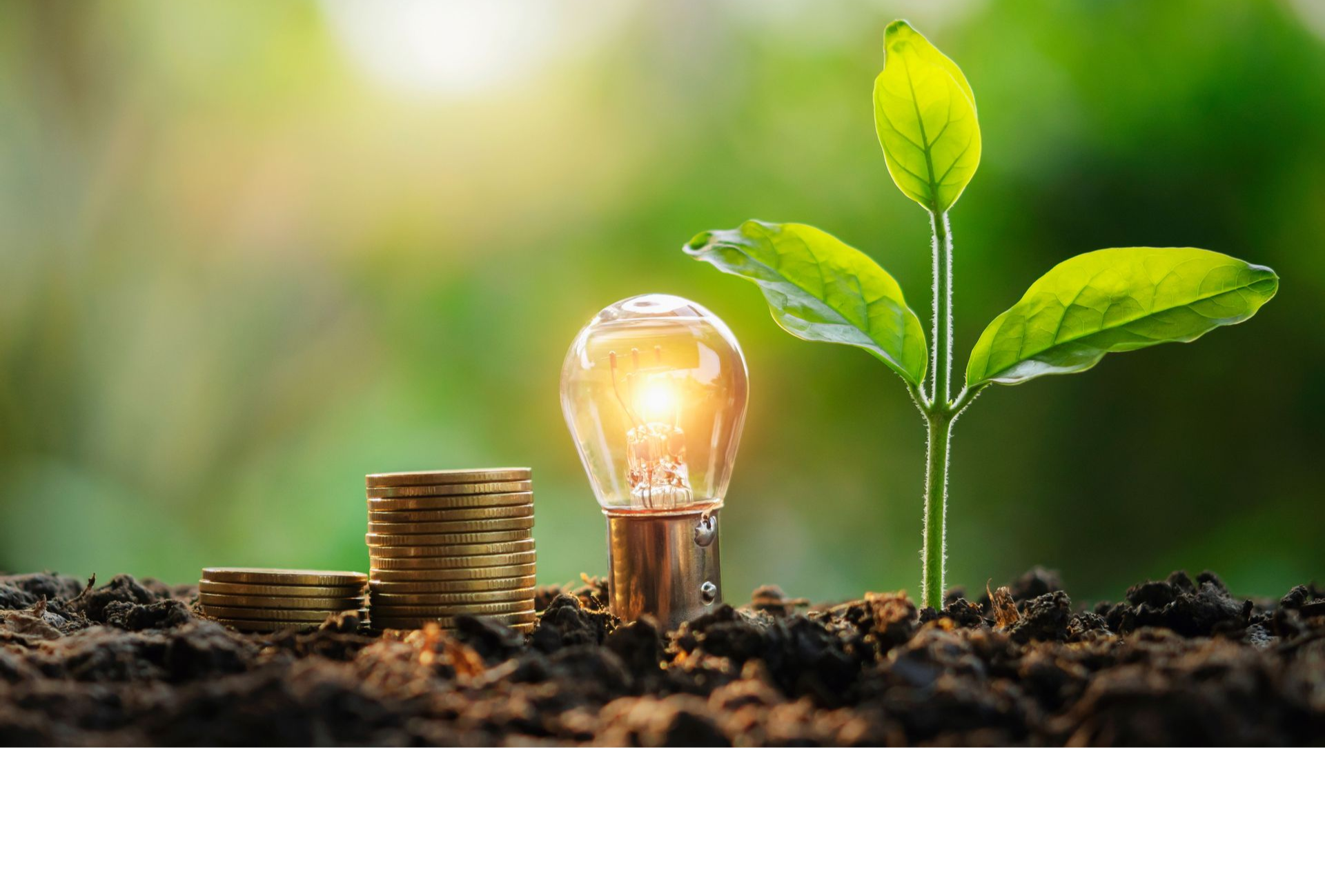 Energy Rewards