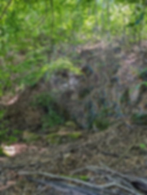 Reste des Steinbruchs Schöllbronner Straße