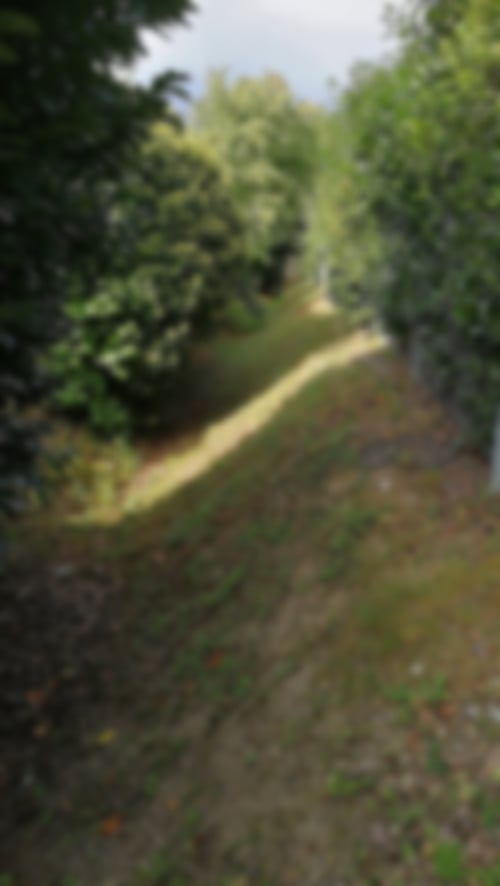 Der Anfang bei der Jahnstraße in Malsch