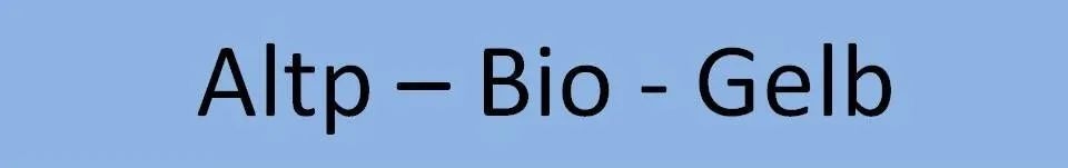 Dienstag 19.12.2023 Altpapier, Biotonne und gelbe Säcke
