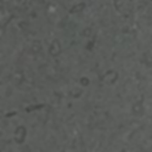 Anröchter Stein grün