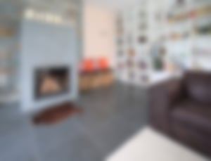 Wohnzimmer mit Kamin und Bücherregal