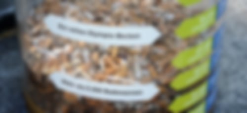 Ausbeute der Aktion „fill the bottle“ mit unzählig vielen Zigarettenkippen, giftig für die Umwelt und ein Sondermüllproblem!