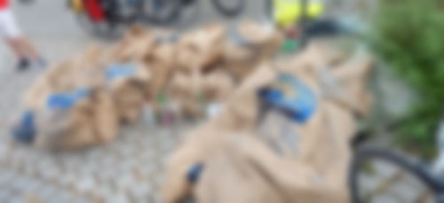 Aktion „Rheinputzete“ als grenzüberschreitendes Projekt im Juni 2021 mit „Octopus“ aus Straßburg und „Bürgerinitiative Umweltschutz Kehl“ mit sichtbarer Ausbeute.