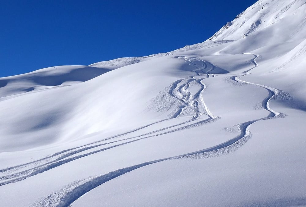 Das Foto zeigt 4 Skispuren abseits der Piste in einer ansonsten unberührten Schneelandschaft