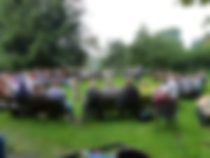 Gottesdienst im Schulwald