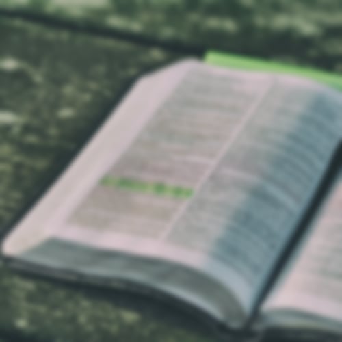 Bibel, die aufgeschlagen auf einem Tisch liegt. In ihr wurde ein Vers markiert.